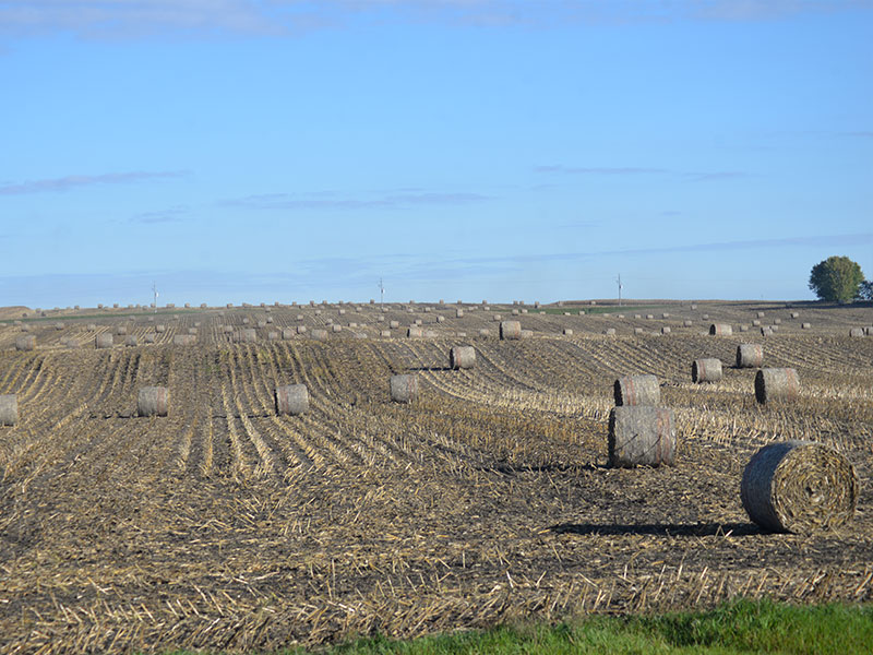 Northwest Iowa